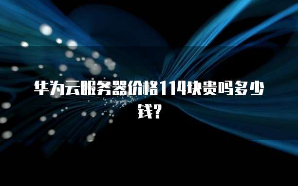 华为云服务器价格114块贵吗多少钱?