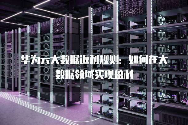 华为云大数据返利规则:如何在大数据领域实现盈利