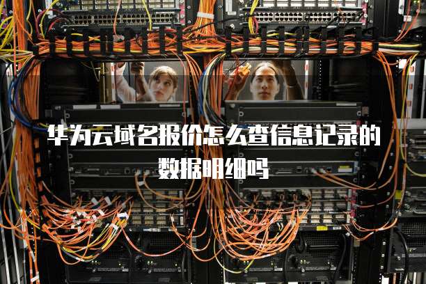 华为云域名报价怎么查信息记录的数据明细吗