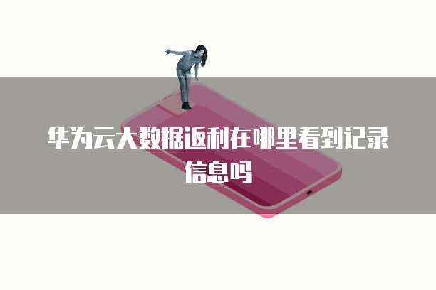 华为云大数据返利在哪里看到记录信息吗