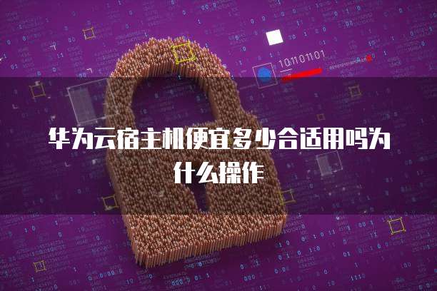 华为云宿主机便宜多少合适用吗为什么操作