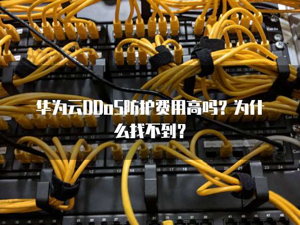 华为云DDoS防护费用高吗?为什么找不到?