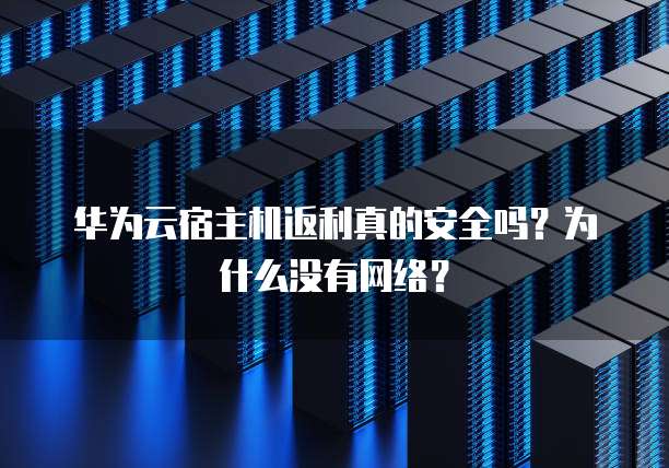 华为云宿主机返利真的安全吗？为什么没有网络？