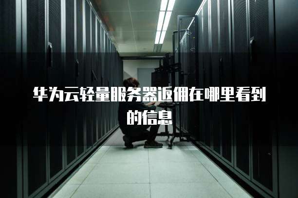 华为云轻量服务器返佣在哪里看到的信息