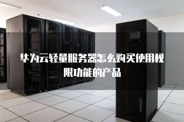 华为云轻量服务器怎么购买使用权限功能的产品