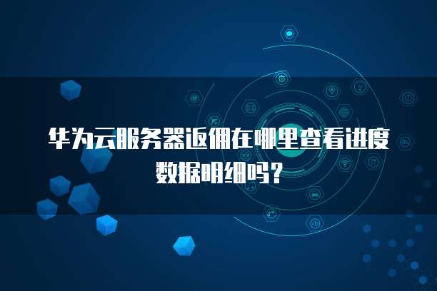 华为云服务器返佣在哪里查看进度数据明细吗?