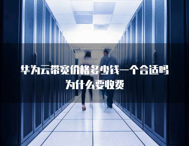 华为云带宽价格多少钱一个合适吗为什么要收费