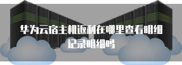 华为云宿主机返利在哪里查看明细记录明细吗