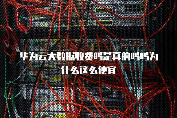 华为云大数据收费吗是真的吗吗为什么这么便宜