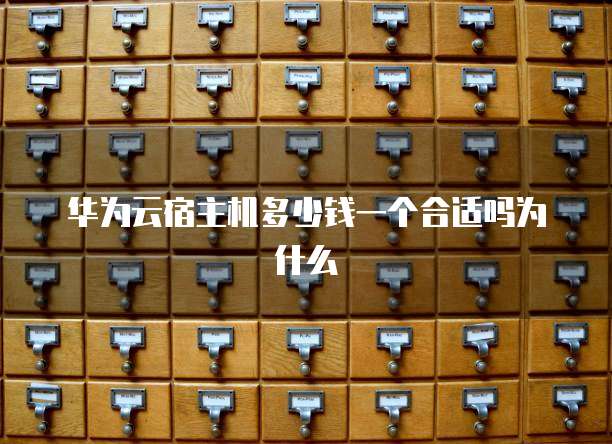 华为云宿主机多少钱一个合适吗为什么