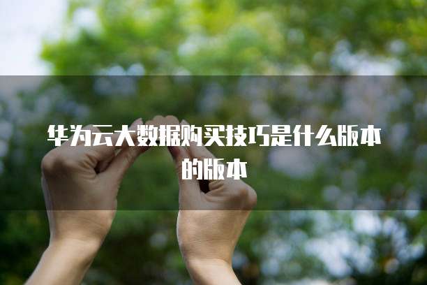 华为云大数据购买技巧是什么版本的版本
