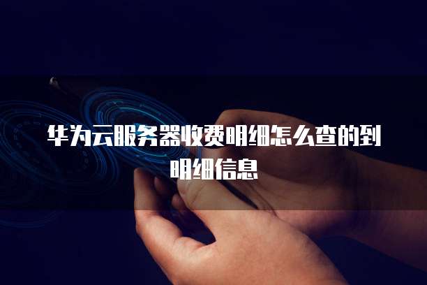 华为云服务器收费明细怎么查的到明细信息