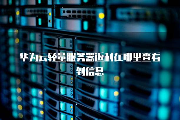 华为云轻量服务器返利在哪里查看到信息