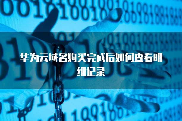 华为云域名购买完成后如何查看明细记录