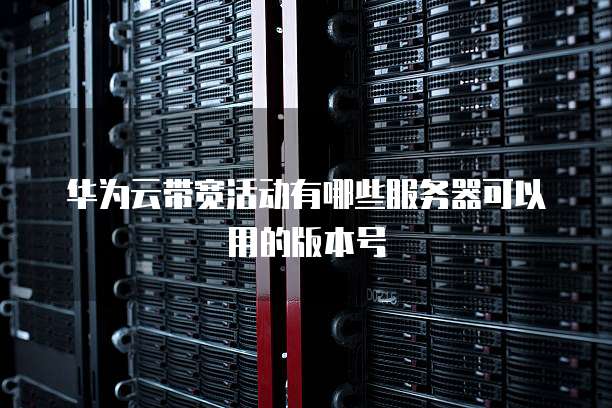 华为云带宽活动有哪些服务器可以用的版本号
