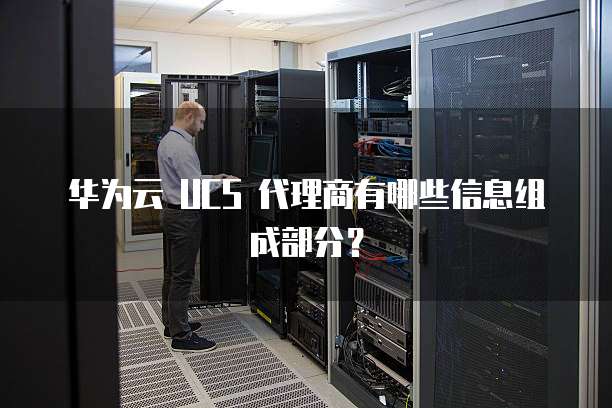 华为云 UCS 代理商有哪些信息组成部分?