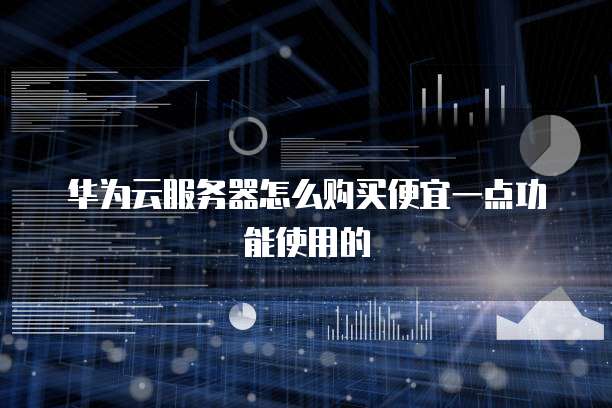华为云服务器怎么购买便宜一点功能使用的