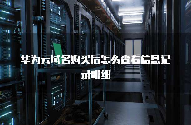 华为云域名购买后怎么查看信息记录明细