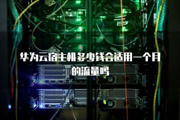 华为云宿主机多少钱合适用一个月的流量吗