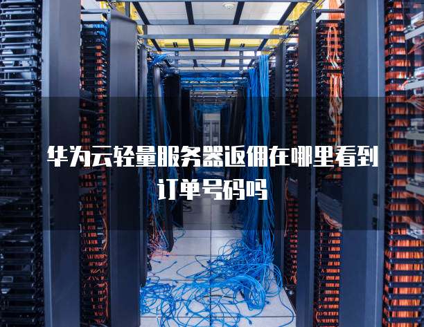 华为云轻量服务器返佣在哪里看到订单号码吗