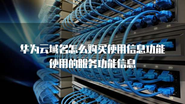华为云域名怎么购买使用信息功能使用的服务功能信息