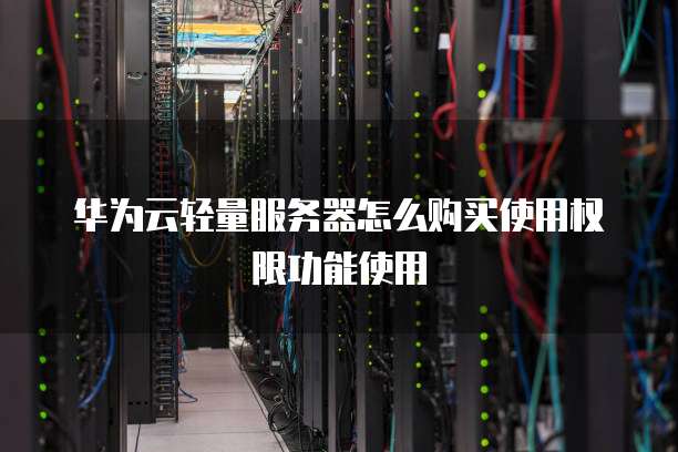 华为云轻量服务器怎么购买使用权限功能使用