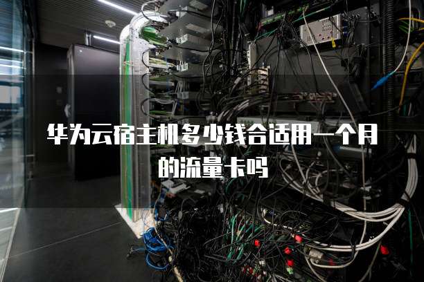 华为云宿主机多少钱合适用一个月的流量卡吗