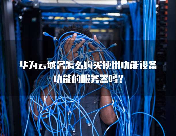 华为云域名怎么购买使用功能设备功能的服务器吗?