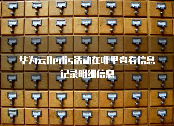 华为云Redis活动在哪里查看信息记录明细信息