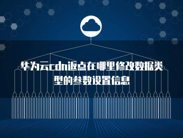 华为云cdn返点在哪里修改数据类型的参数设置信息
