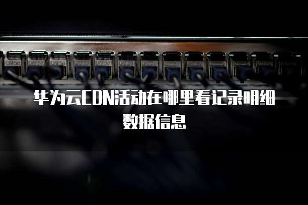 华为云CDN活动在哪里看记录明细数据信息