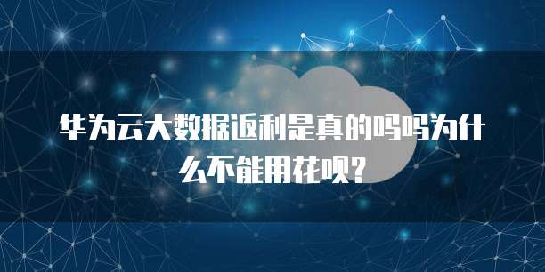 华为云大数据返利是真的吗吗为什么不能用花呗?