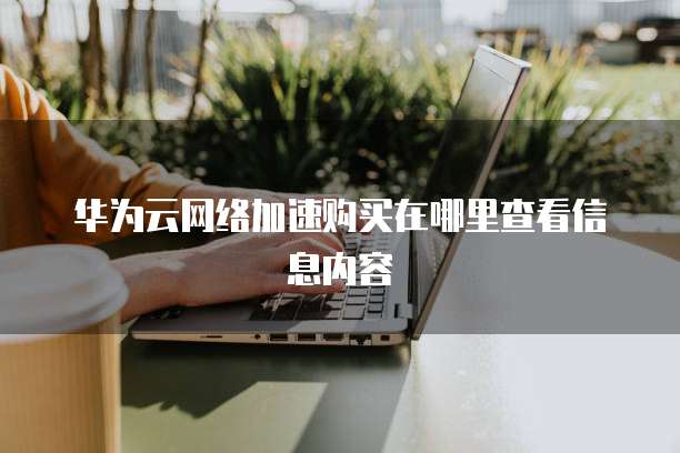 华为云网络加速购买在哪里查看信息内容