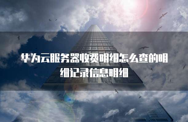 华为云服务器收费明细怎么查的明细记录信息明细