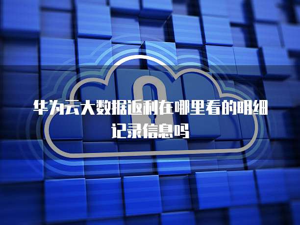 华为云大数据返利在哪里看的明细记录信息吗