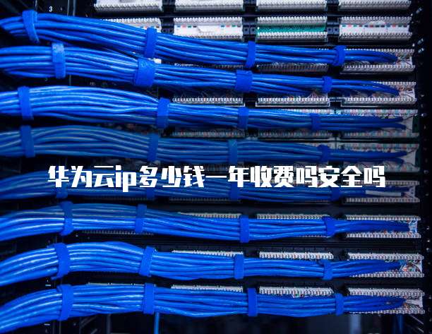 华为云ip多少钱一年收费吗安全吗