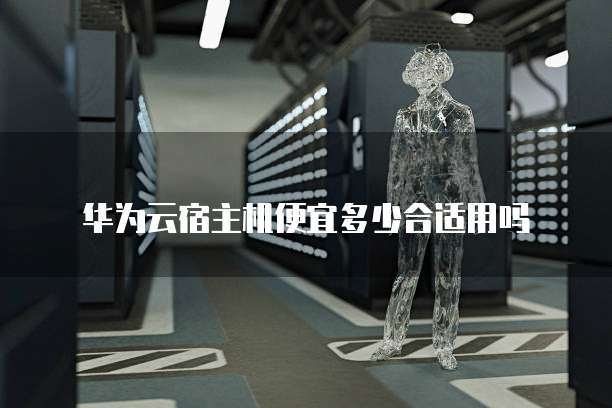 华为云宿主机便宜多少合适用吗