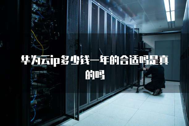 华为云ip多少钱一年的合适吗是真的吗