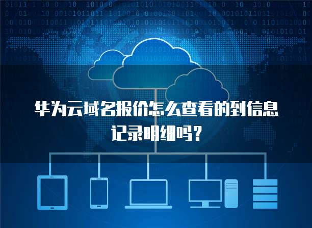 华为云域名报价怎么查看的到信息记录明细吗?