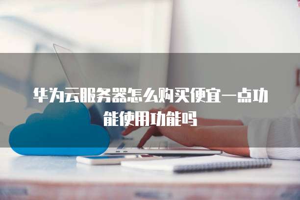 华为云服务器怎么购买便宜一点功能使用功能吗