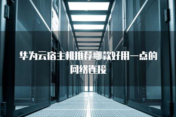 华为云宿主机推荐哪款好用一点的网络连接