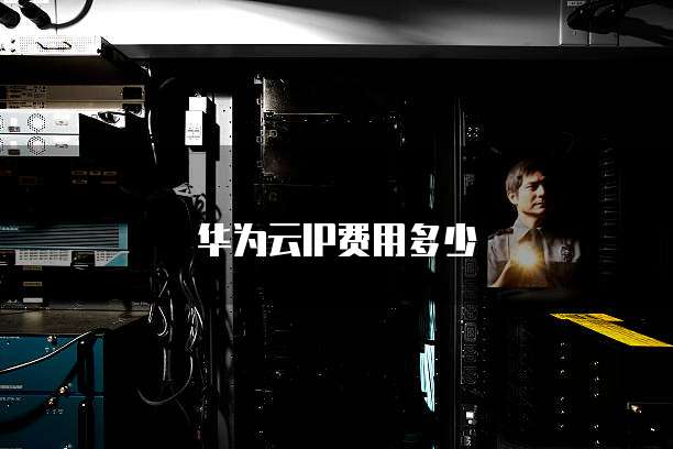 华为云IP费用多少