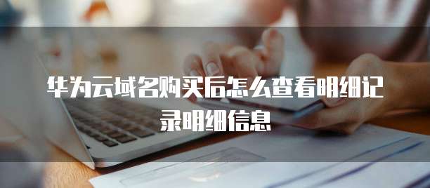 华为云域名购买后怎么查看明细记录明细信息