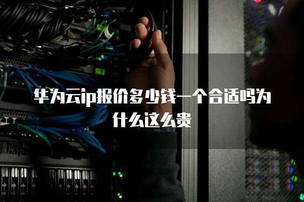 华为云ip报价多少钱一个合适吗为什么这么贵