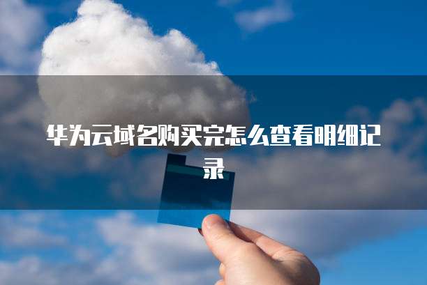 华为云域名购买完怎么查看明细记录