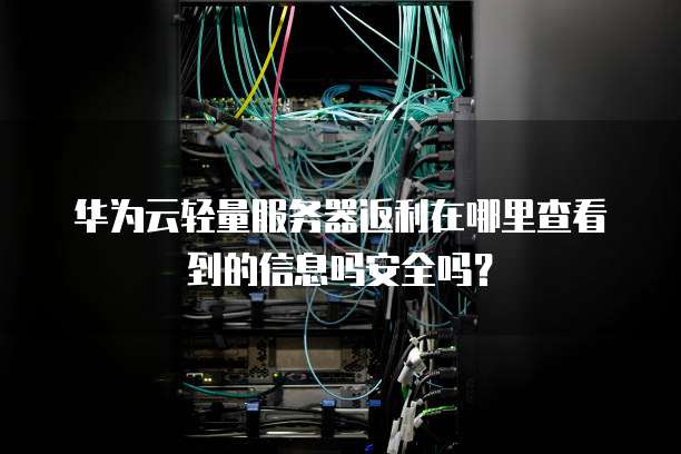 华为云轻量服务器返利在哪里查看到的信息吗安全吗?