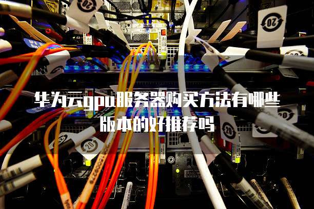 华为云gpu服务器购买方法有哪些版本的好推荐吗