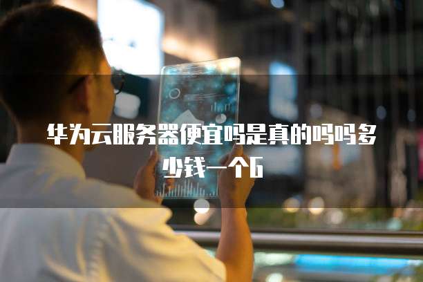 华为云服务器便宜吗是真的吗吗多少钱一个G