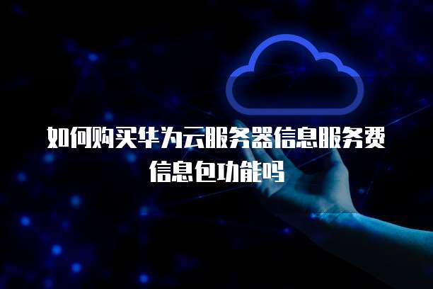 如何购买华为云服务器信息服务费信息包功能吗