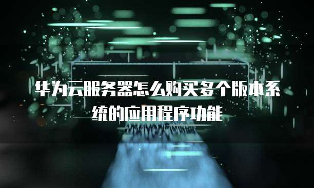华为云服务器怎么购买多个版本系统的应用程序功能